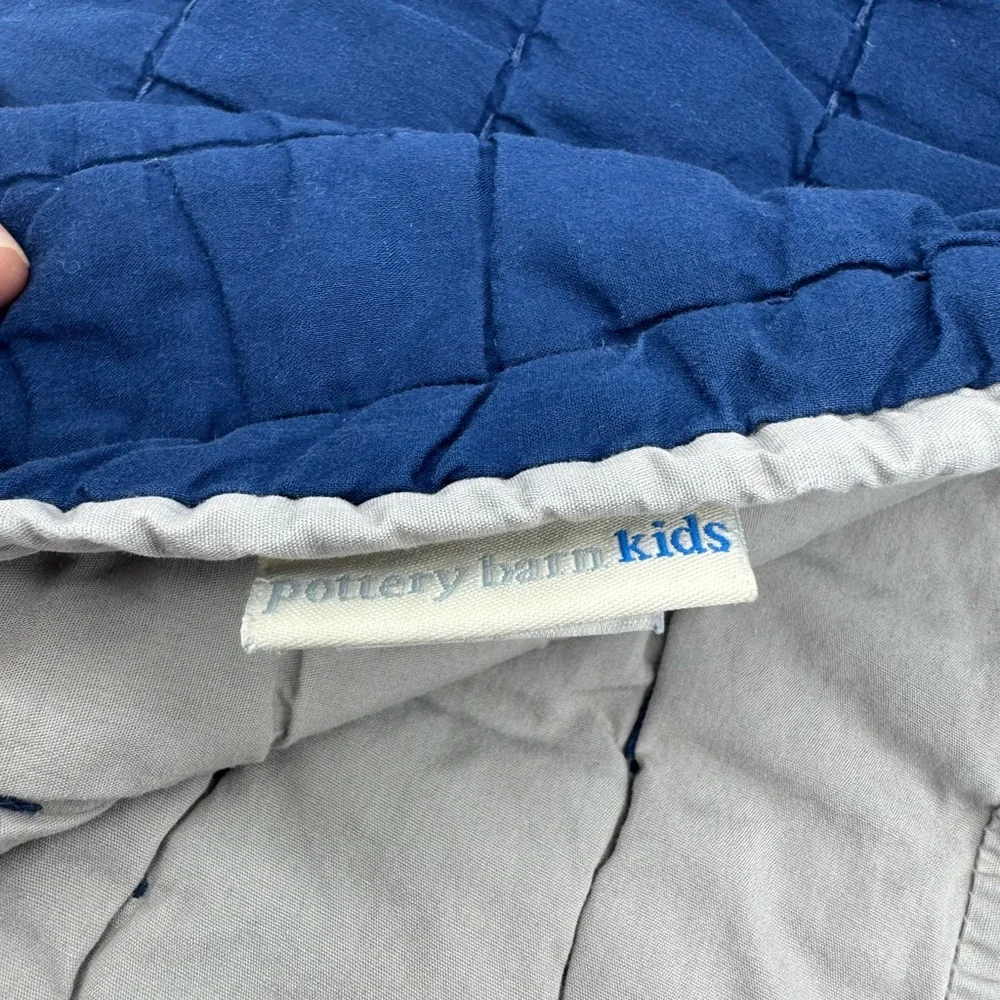 Pottery Barn Kids Blue Crib Quilt